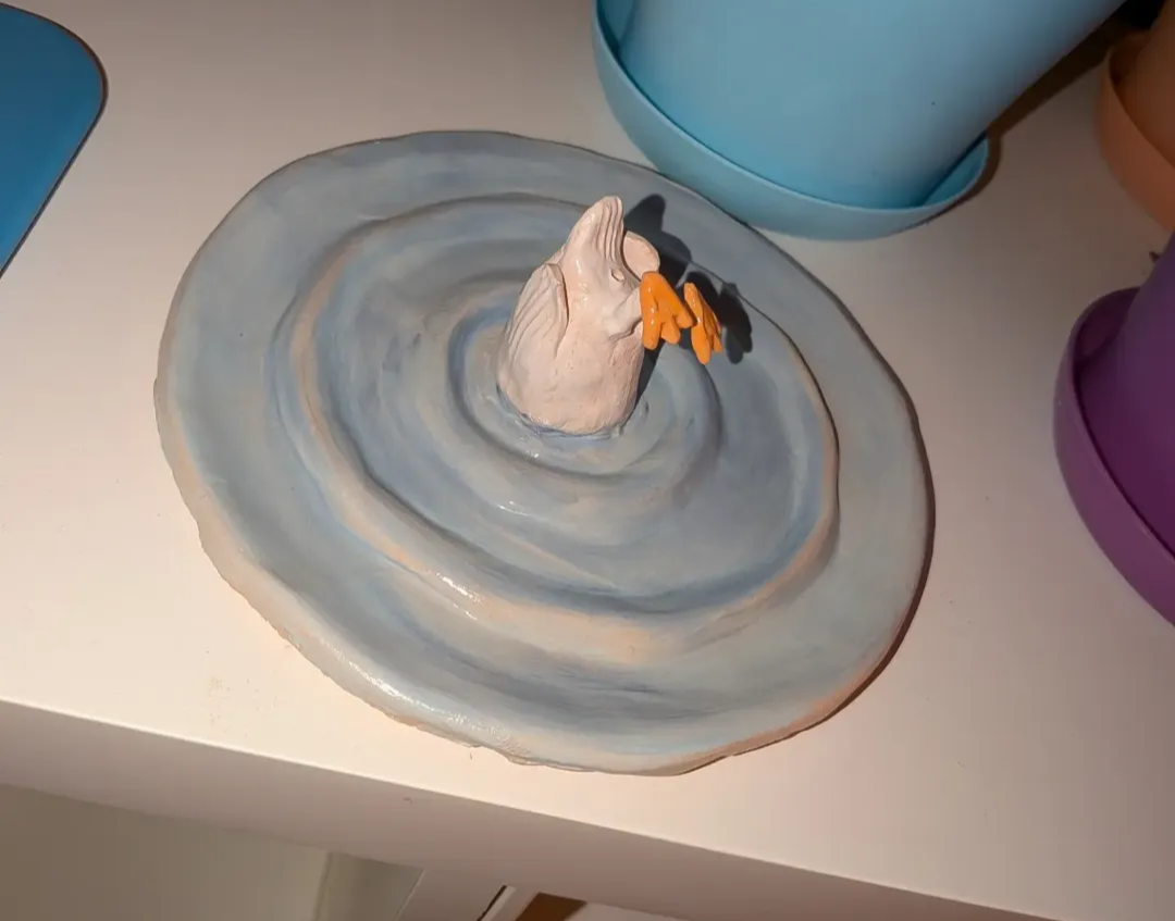 Diving Duck Dish