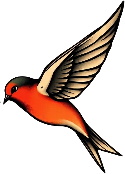 Hand-painted swallow illustration